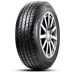 HiFly VIGOROUS HT601 HiFly VIGOROUS HT601