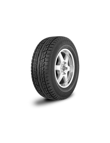 ICE GUARD IG51V