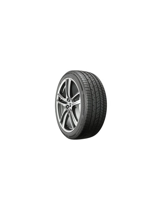 Bridgestone DRIVEGUARD PLUS BL